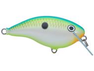  Rapala Ott's Garage Og Rocco 5 Crankbait- 5 Citrus Shad