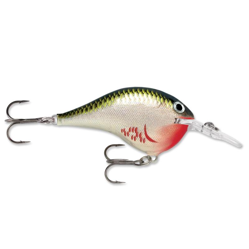 Rapala DT Series Crankbait DT6 - BLUEGILL