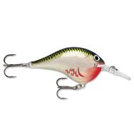  Rapala Dt Series Crankbait Dt6 - Bleeding Olive Shiner