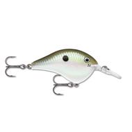  Rapala Dt Series Crankbait Dt6 - Green Gizzard Shad