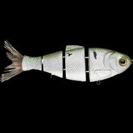  6in Bull Shad Fast Sink Threadfin