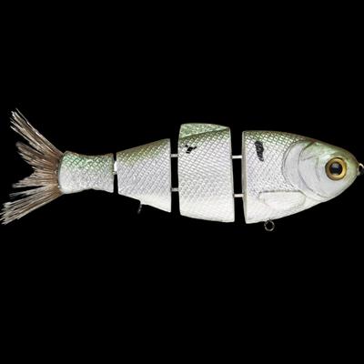 6IN BULLSHAD  THREADFIN SLOW SINK