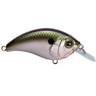  Bill Lewis Sb- 57 Squarebill Crankbait - Tennessee Shad