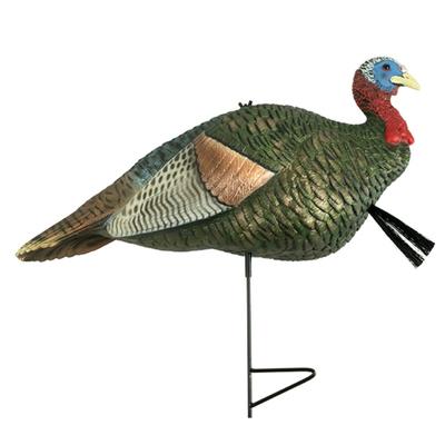 THE GRIND  HALF STRUT JAKE TURKEY DECOY