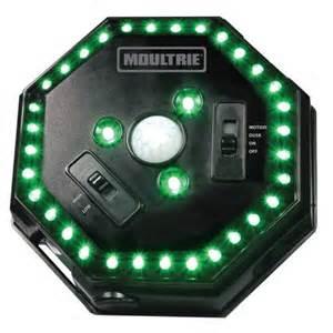 Feeder Hog Light