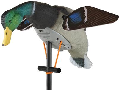 Lucky Duck - Lucky HD