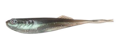 Cast Fishing Co- Echo 5.4