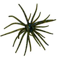  Fishco Okane 25mm : Green Pumpkin Blue