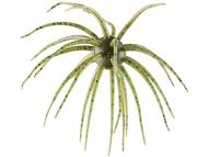  Hideup Coike 17mm Creature Bait- # 302 Green Pumpkin Candy