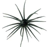  Hideup Coike 17mm Creature Bait 17mm # 106 Gill