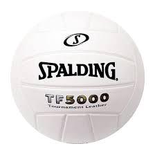 TF5000 VOLLEYBALL LEATHER INDOOR
