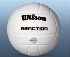 Wilson Reaction Volleyball   H4900