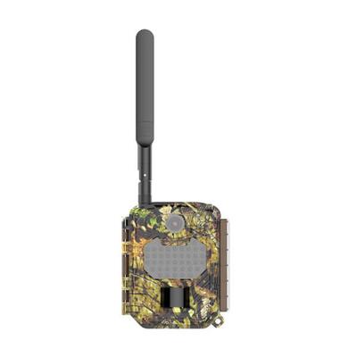 covert scouting cameras AW1-V